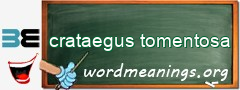 WordMeaning blackboard for crataegus tomentosa